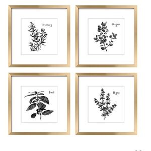 Four Herb Print Pictures. Gold Frames. 11”x11” NWT